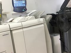 雷焰图文设计制作 深耕上海，铸就专业视觉与印刷服务典范